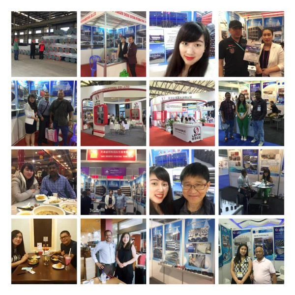 LEFIN STEEL Elva on Construction Exhibition and clients factroy visit LEFIN STEEL Elva on Construction Exhibition and clients factroy visit