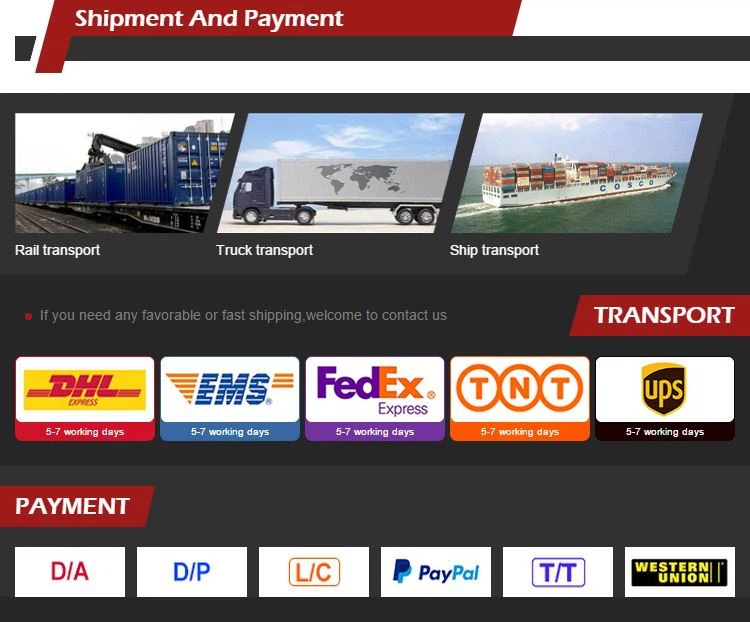 LEFIN Express and Delivery MSC MSK OC COSCO EIL Ship  Elva008615122519420 LEFIN Express and Delivery MSC MSK OC COSCO EIL Ship  Elva008615122519420